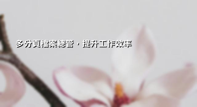 多分頁檔案總管，提升工作效率