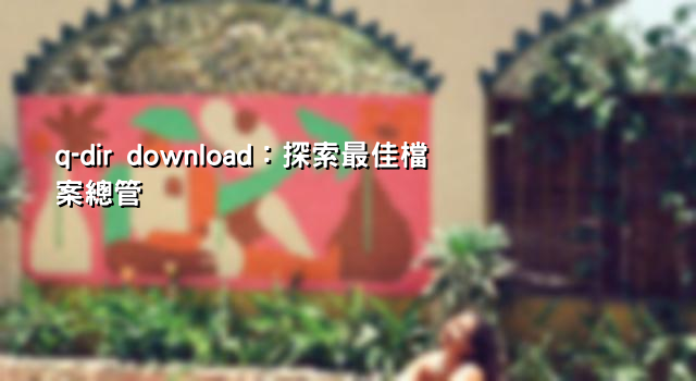 q-dir download：探索最佳檔案總管